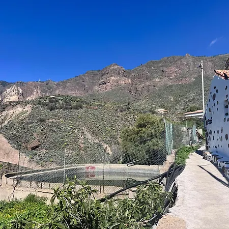 Palmeral De
