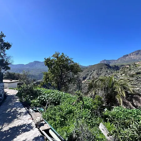 Palmeral De *