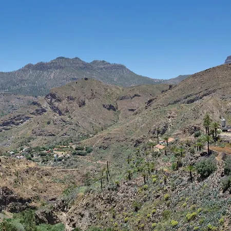 Palmeral De Taidia