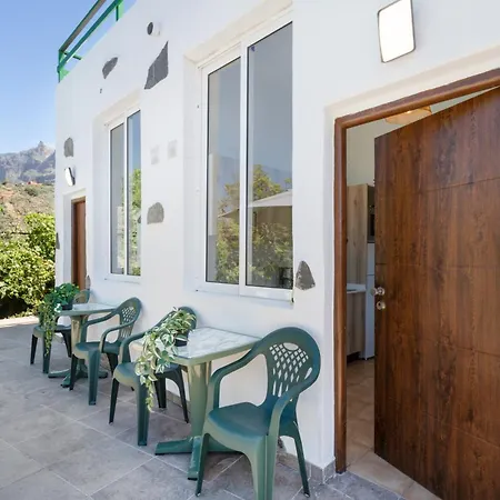 Palmeral De Appartement *